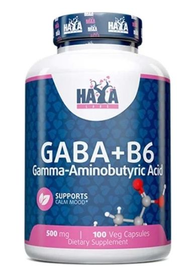 Haya Labs Gaba - B6 500 Mg 100 Vcaps resmi